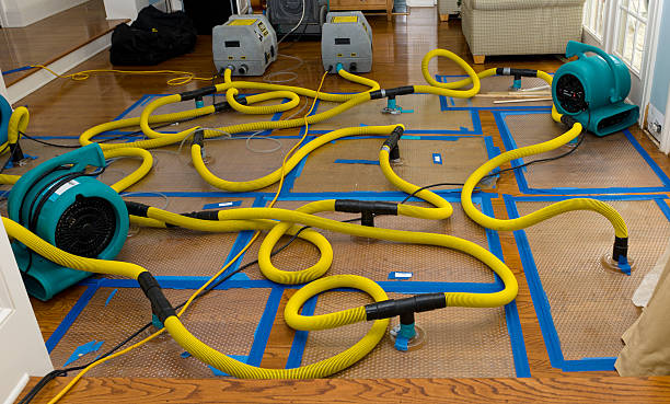Professional Flood Damage Restoration technician working in Hasbrouck Heights, NJ